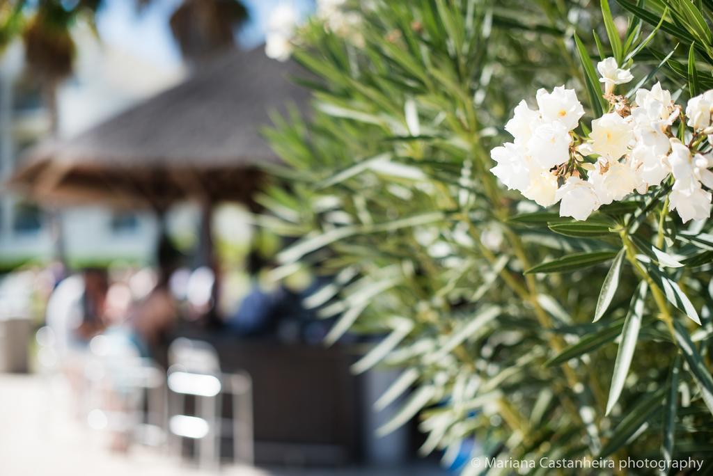 Yellow Alvor Garden Buitenkant foto